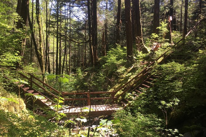 Alaska Bigfoot Adventure 2.5-Hour Tour  - Ketchikan - Cancellation Policy
