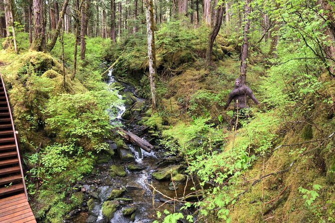 Alaska Bigfoot Adventure 2.5-Hour Tour  - Ketchikan - Traveler Photos