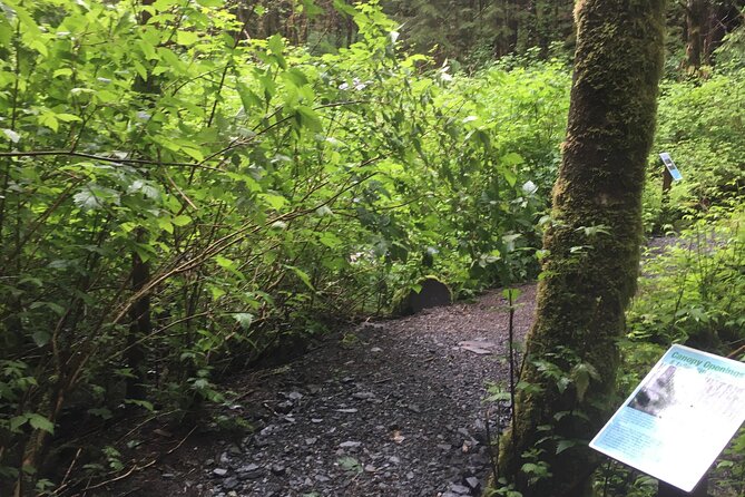Alaska Bigfoot Adventure 2.5-Hour Tour  - Ketchikan - Directions
