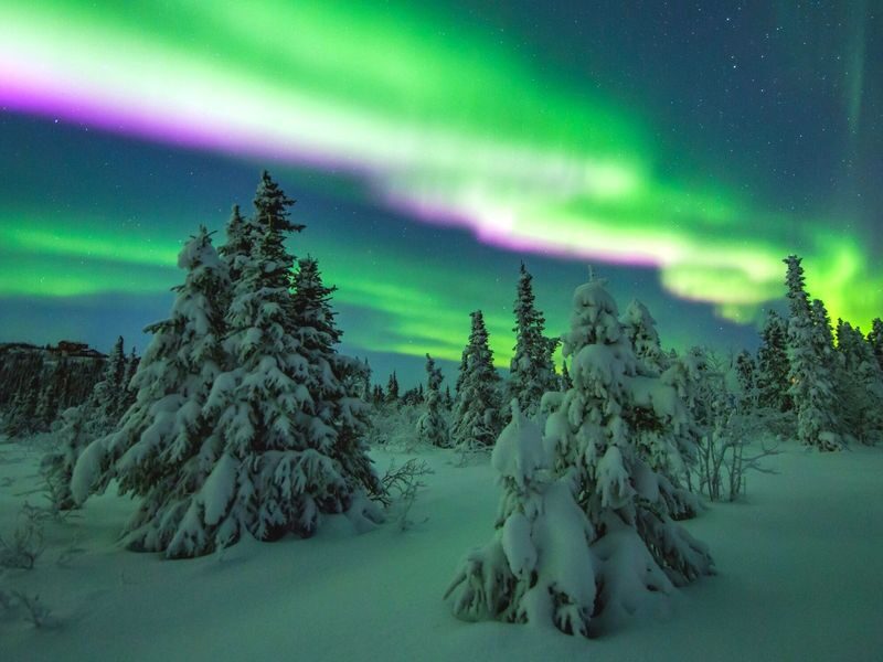 Alaska Fairbanks Half-Day Guided Aurora Viewing Tour - Guides, explanations, and language