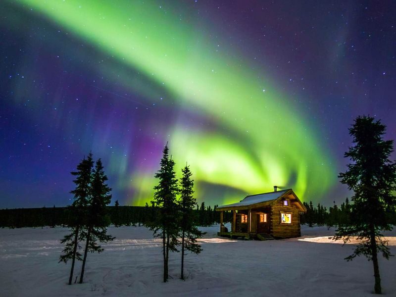 Alaska Fairbanks Half-Day Guided Aurora Viewing Tour - Why the lights can disappoint