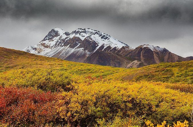 Alaska Fall Colors with Northern Lights 5 Days - Final Thoughts: Who Is This Tour For?