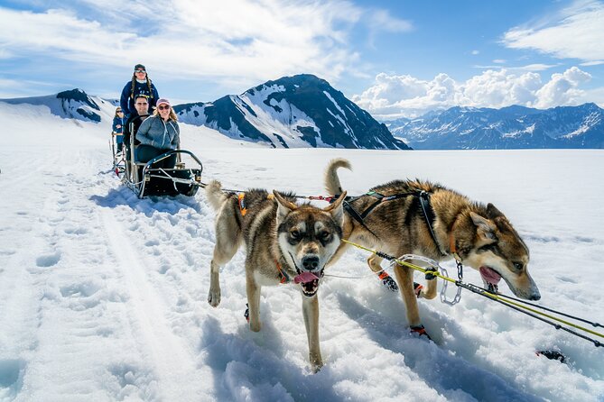 Alaska Helicopter and Glacier Dogsled Tour - ANCHORAGE AREA - Tour Overview and Inclusions