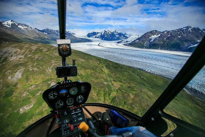 Alaska Helicopter and Glacier Dogsled Tour - ANCHORAGE AREA - Customer Reviews and Testimonials