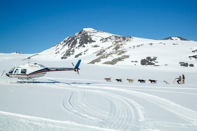 Alaska Helicopter and Glacier Dogsled Tour - ANCHORAGE AREA - Common Questions