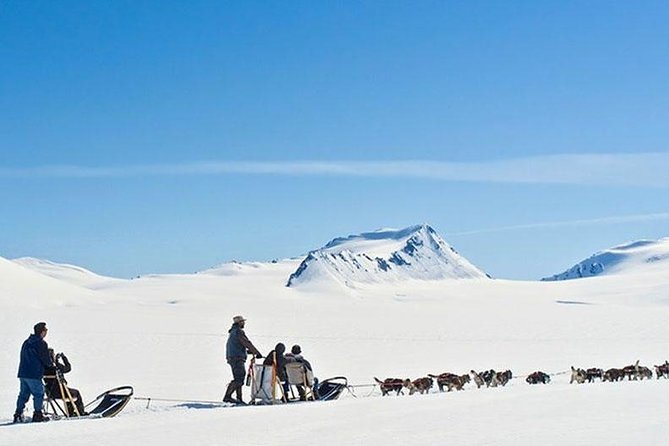 Alaska Helicopter and Glacier Dogsled Tour - ANCHORAGE AREA - The Sum Up