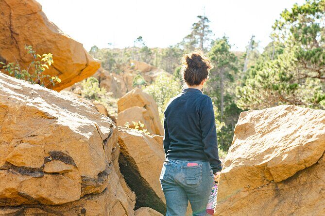 Alaska Historical Tour with Cruise Hike and Cultural Immersion - Why Choose This Tour?