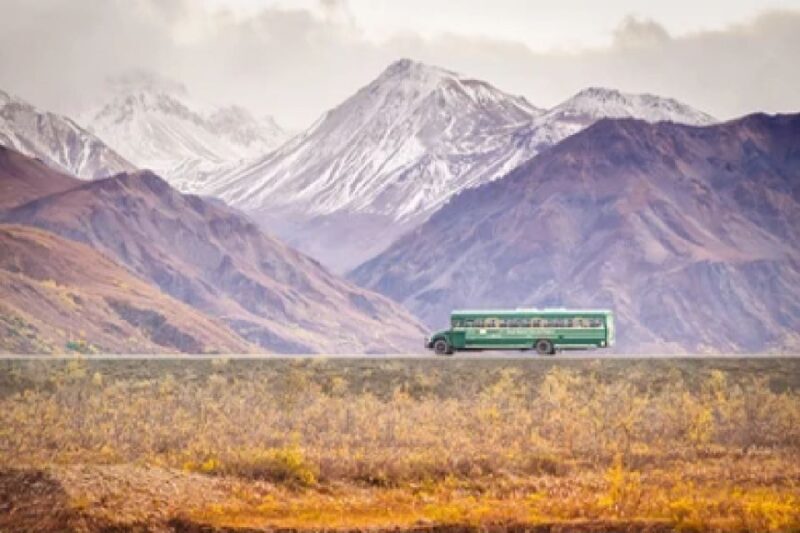 Alaska: Kenai Fjords & Denali National Park 5 Day Adventure - Good To Know