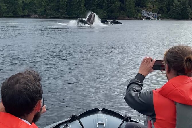 Alaska Marine Fast Boat Adventure - Common Questions