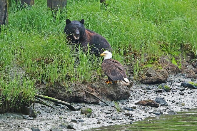 Alaska Native Cultural Immersion Experience and Ketchikan Tour - The Sum Up