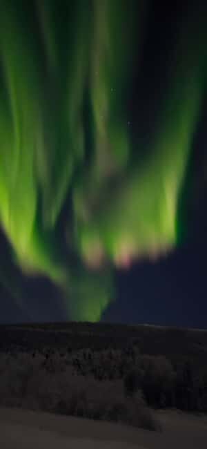 Alaska: Private Northern Lights Viewing Tour - Good To Know