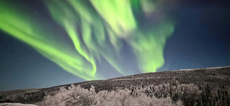 Alaska: Private Northern Lights Viewing Tour - An In-Depth Look at the Tour Experience