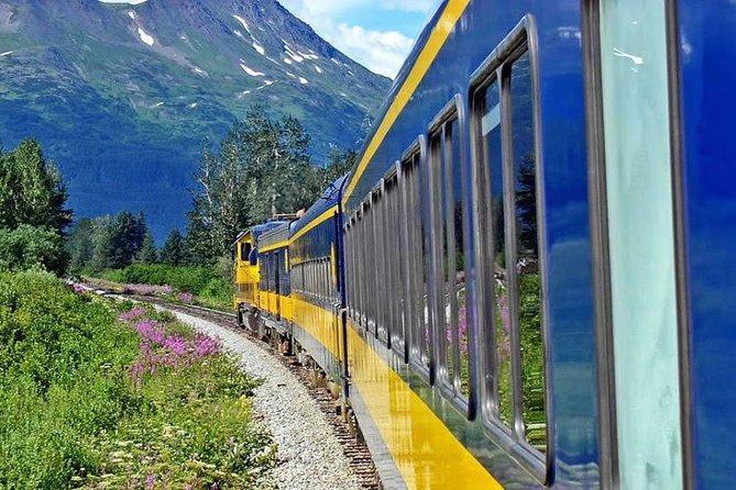Alaska Railroad Anchorage to Seward One Way - Additional Features and Services