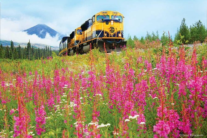 Alaska Railroad Anchorage to Seward Round-Trip Same Day Return - Seward Shuttle and Transportation
