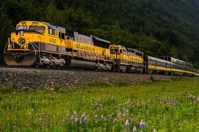 Alaska Railroad Anchorage to Seward Round-Trip Same Day Return - Positive Feedback on Staff and Information