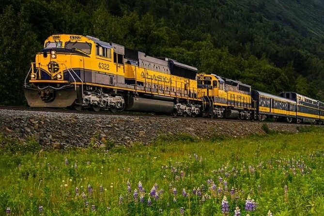 Alaska Railroad Fairbanks to Denali One Way - Overview of the Scenic Route