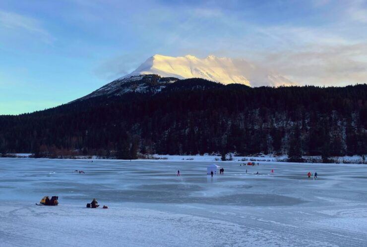Alaska: Wonders of Winter Snowshoe Tour - Tour Duration & Guide Availability