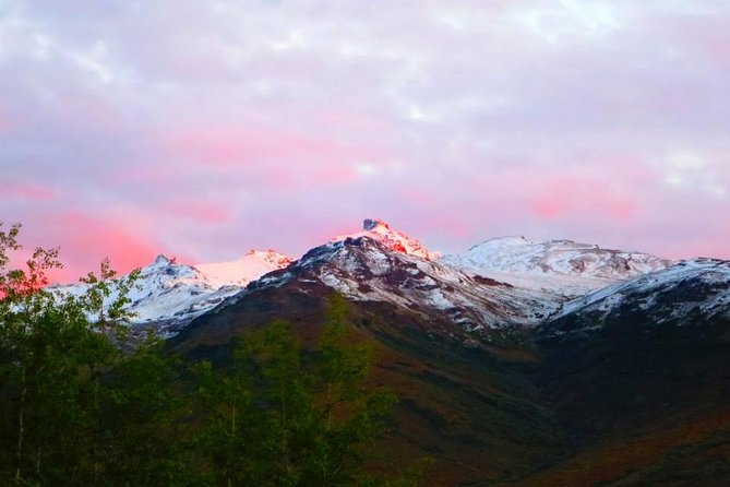 Alaskan Back Country Side by Side ATV Adventure With Meal - What To Expect