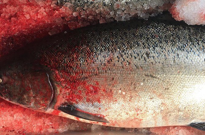 Alaskan Salmon Fishing with optional Adaptive Gear - Who Will Love This Experience?