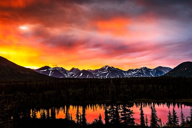 Alaskas Majestic Midnight Sun Photo Tour - Tour Details