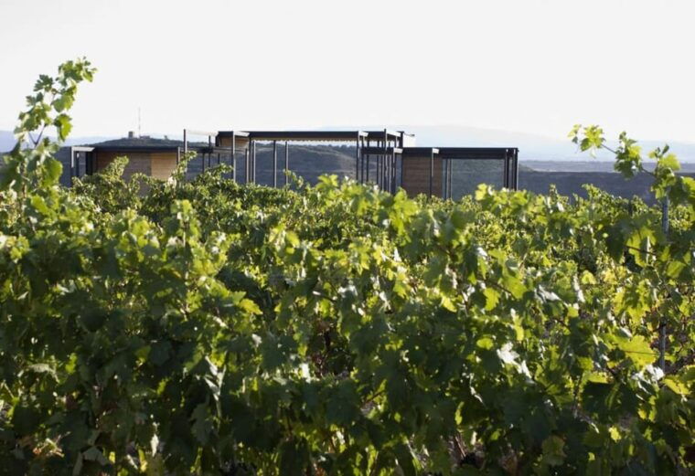 Álava: Viña Real Winery - Pricing and Booking