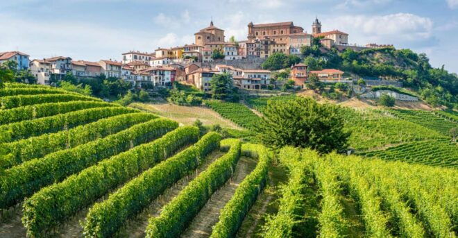 Alba: Barolo Castle, Alfieri Vineyards, and Truffle Lunch - Full Description