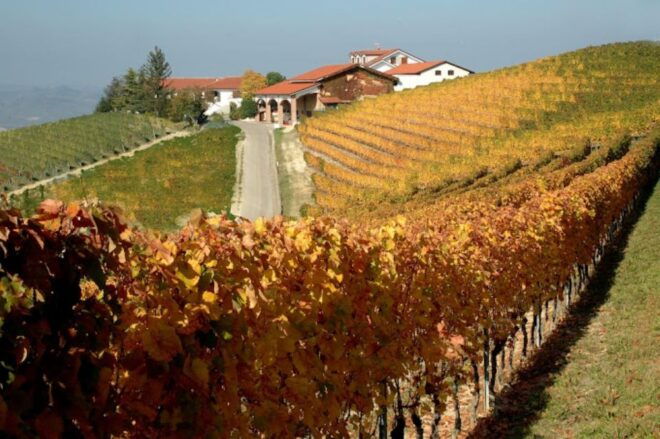 Alba: E-Bike Tour With Wine Tastin in Cellar - Cancellation Policy and Reservation Details