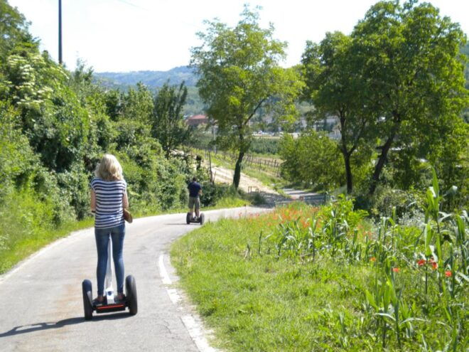 Alba: Guided Segway Tour Through Langhe Hills and Vineyards - Experience