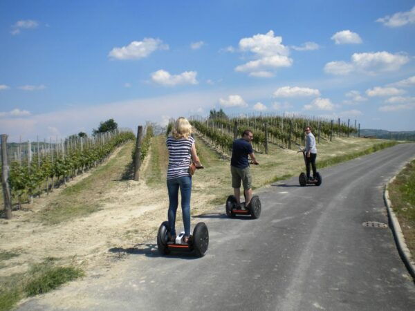 Alba: Guided Segway Tour Through Langhe Hills and Vineyards - Frequently Asked Questions
