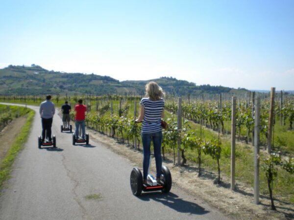 Alba: Guided Segway Tour Through Langhe Hills and Vineyards - The Sum Up