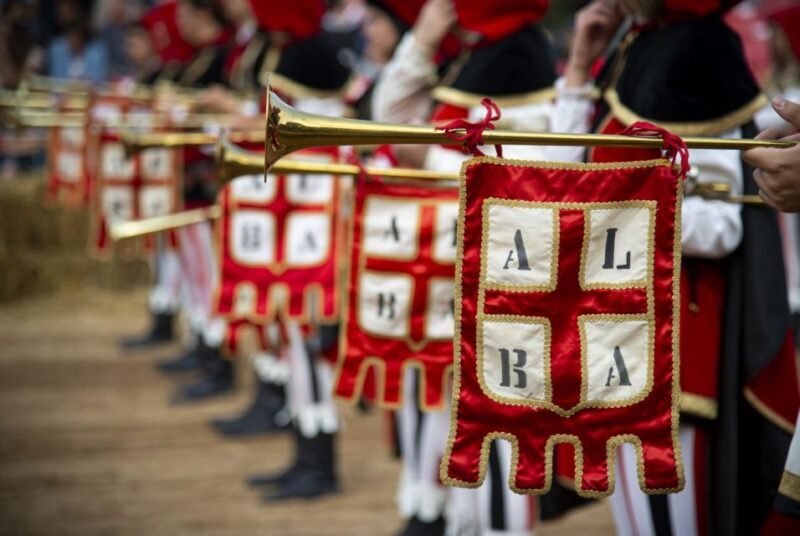 Alba: Historic Town Highlights Guided Walking Tour - Who Will Love This Tour?