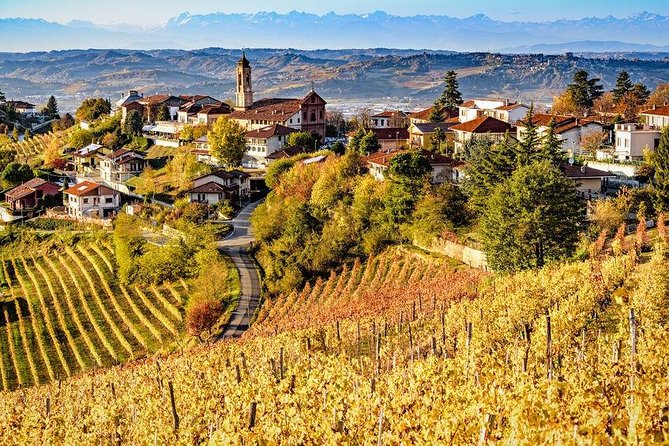 Alba Private Langhe Region Tour (Feb ) - Tour Highlights