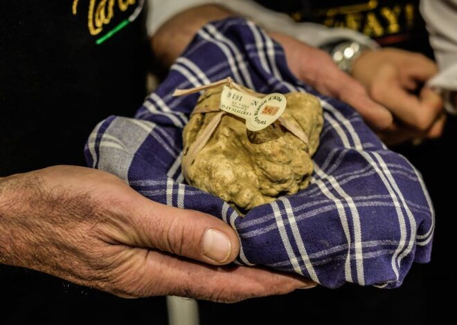 Alba Truffle Fair: Skip-the-Line Entrance and Private Tour - Whats Included in the Tour