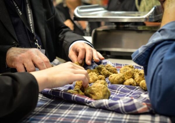 Alba Truffle Fair: Skip-the-Line Entrance and Private Tour - Exploring Albas Truffle Market