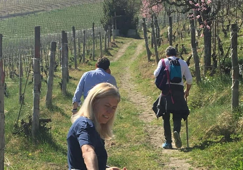 Alba: Wine Tasting and Tour with a Local Producer - Good To Know