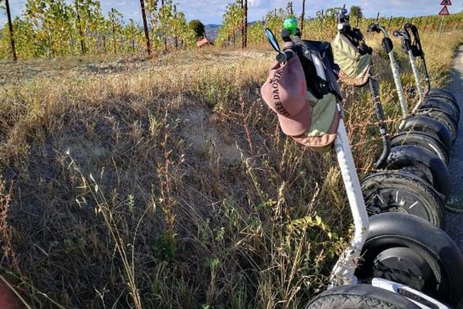 Albahills Segway Tour & Wine Tasting - Tour Location