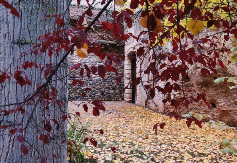 Albaicin and Sacromonte: Guided tour and sunset at Mirador San Nicolas - Who Will Enjoy This Tour?