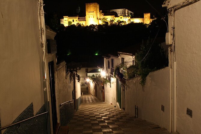 Albaicín and Sacromonte Walking Tour and Flamenco Show - Meeting and Logistics