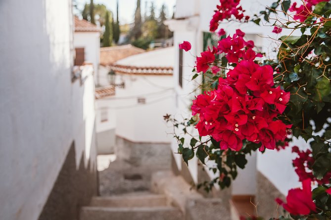 Albaicín & Sacromonte Walking Tour - Pricing and Booking