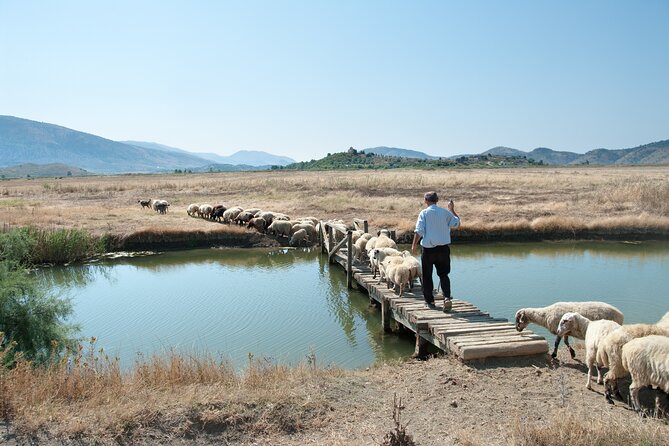 Albania - Butrint and Saranda or Blue Eye: Private Day Trip - Natural Wonders