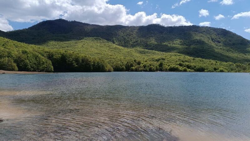 Albania: Culture in AI Development: Art Residency Project - Why This Experience Stands Out