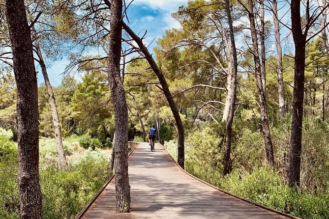 Albanian Gems: Berat and Karavasta Lagoon Day Trip - Itinerary Highlights