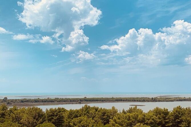 Albanian Gems: Berat and Karavasta Lagoon Day Trip - Cultural Immersion