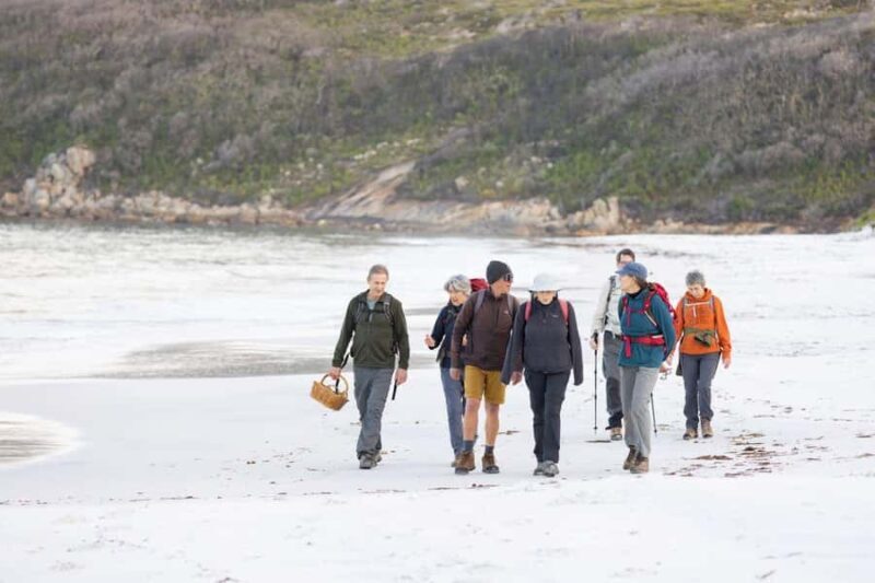 Albany: Lighting the Sound Twilight Hike - Good To Know