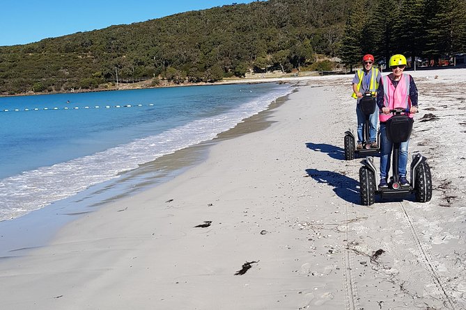 Albany Summit to Sea Adventure - Guided Segway Tour - Overview and Highlights