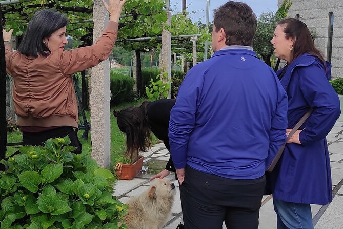 Albariño Private Wine Tour in Rias Baixas - The Sum Up