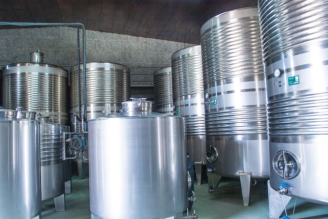 Albariño Trails Private Wine Tour/Shore Excursion From Vigo - Product Details