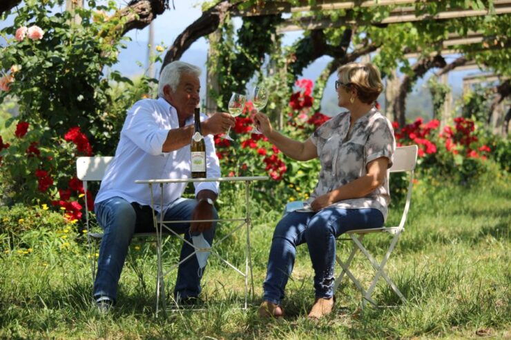 Albariño Wine Tasting With Winery Tour - Activity Details