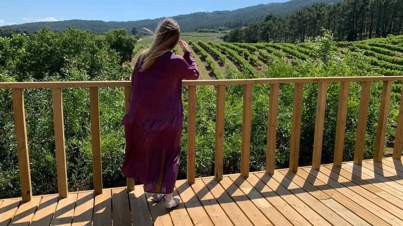 Albariño Wine Tour: Taste, Learn & Take Home a Special Gift - A Closer Look at the Experience