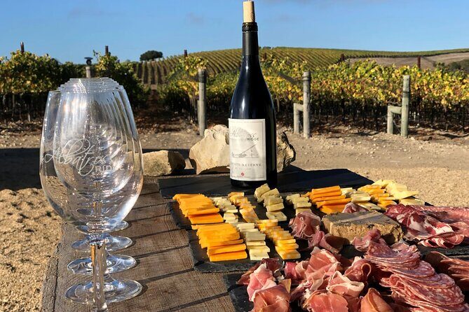 Albatross Ridge Vineyards Electric Bike Tour & Wine Tasting - An In-Depth Look at the Tour Experience